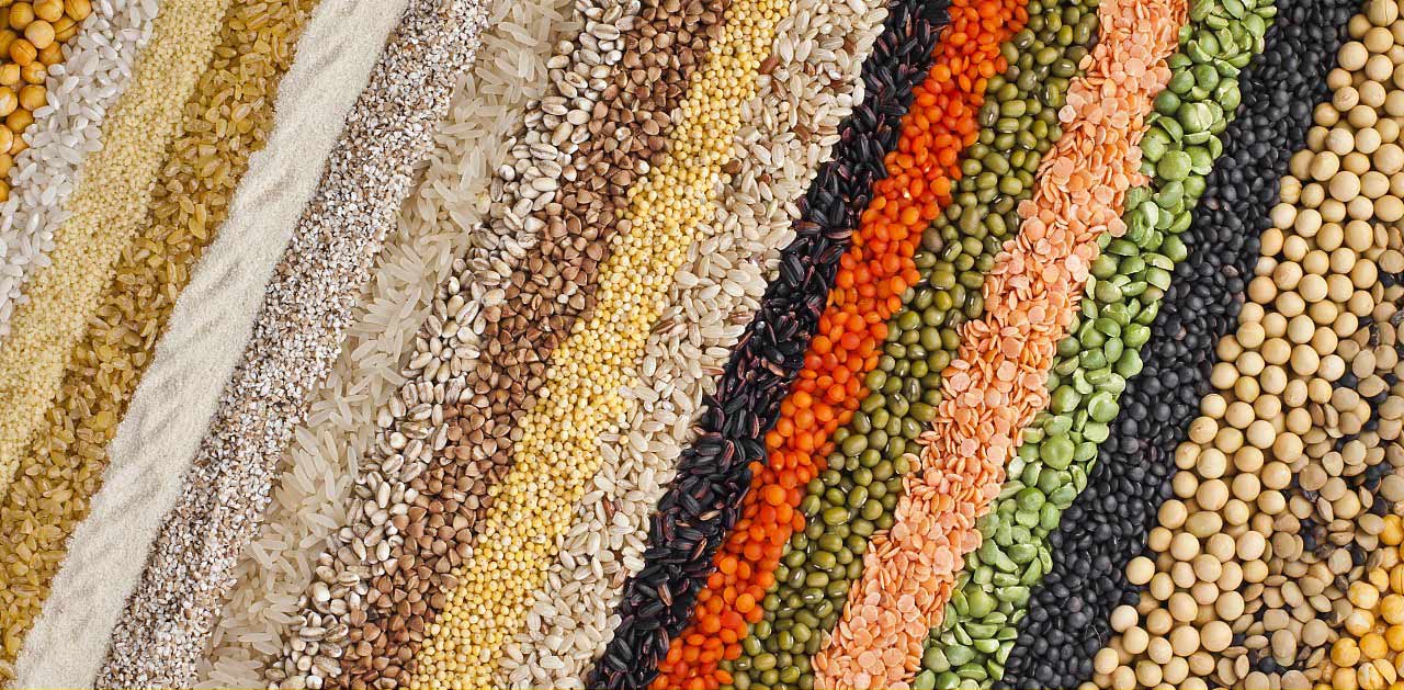 A color sorter that helps you easily sort grains