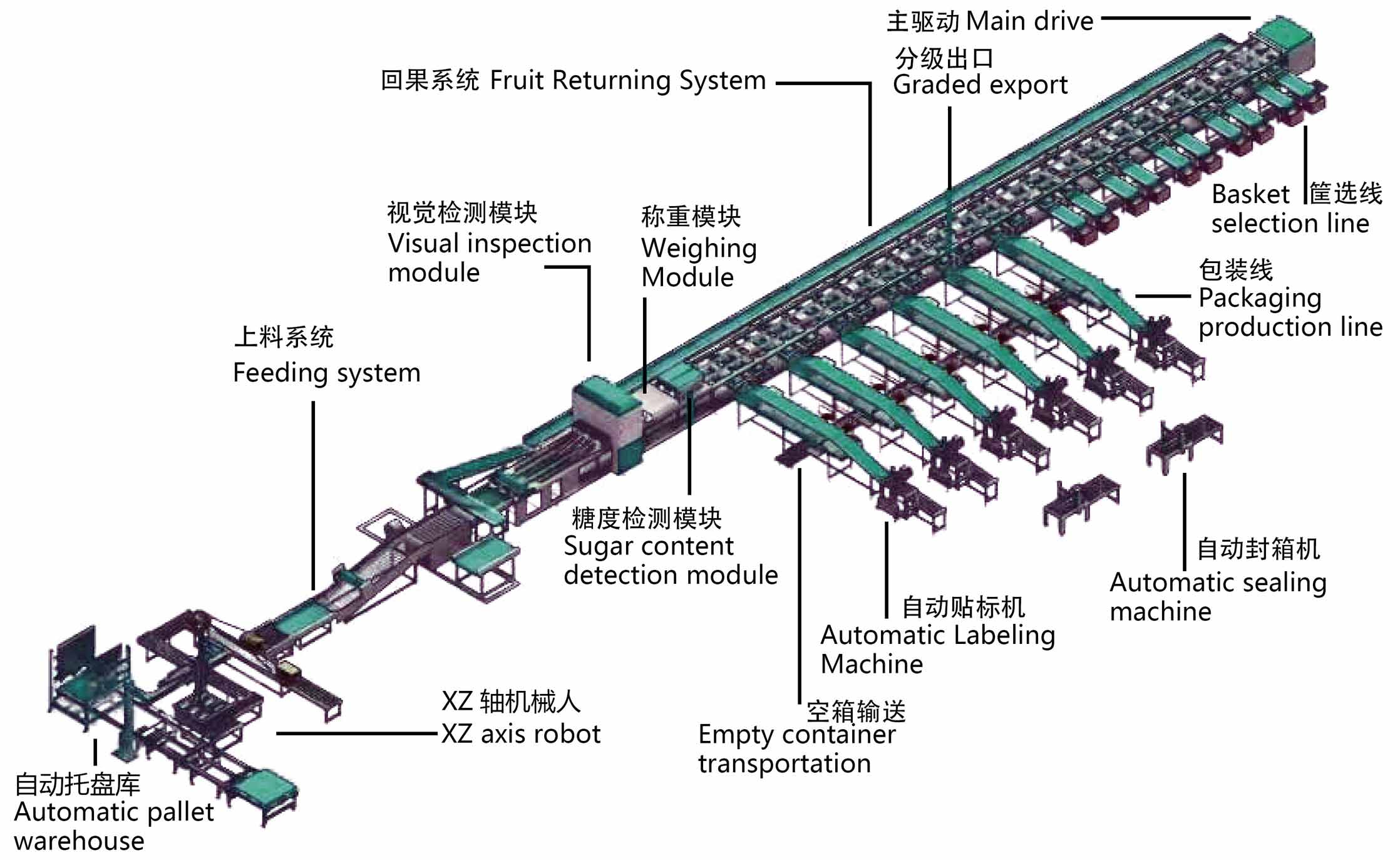 Intelligent fruit and vegetable sorting machine