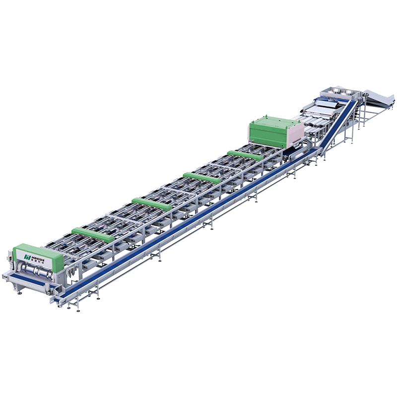 Intelligent fruit and vegetable sorting equipment (small fruit diameter)