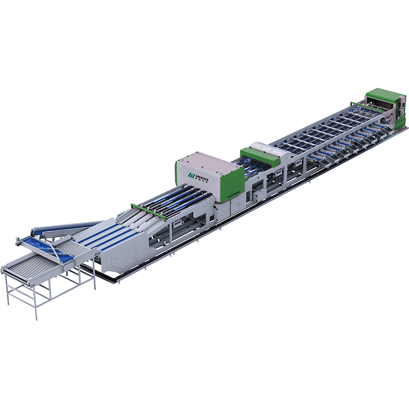 Intelligent fruit and vegetable sorting equipment (Large fruit diameter)